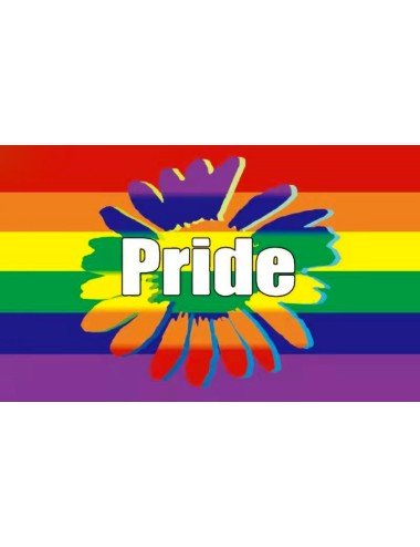 Drapeau Rainbow Pride 90 x...