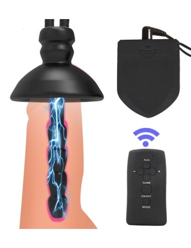 Kit Plugs Anus + Penis Electro